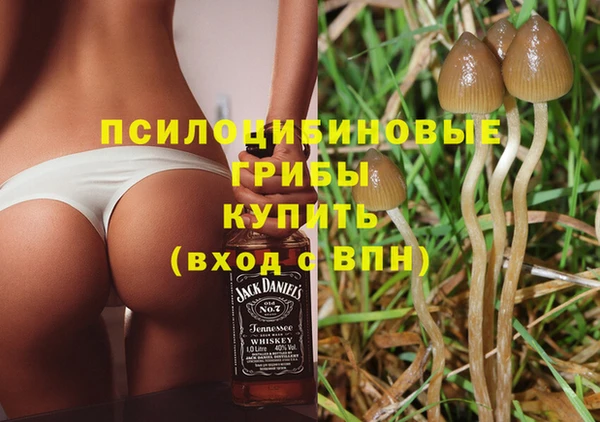 герыч Алексин