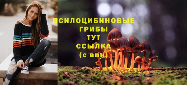 молекула духа Алзамай
